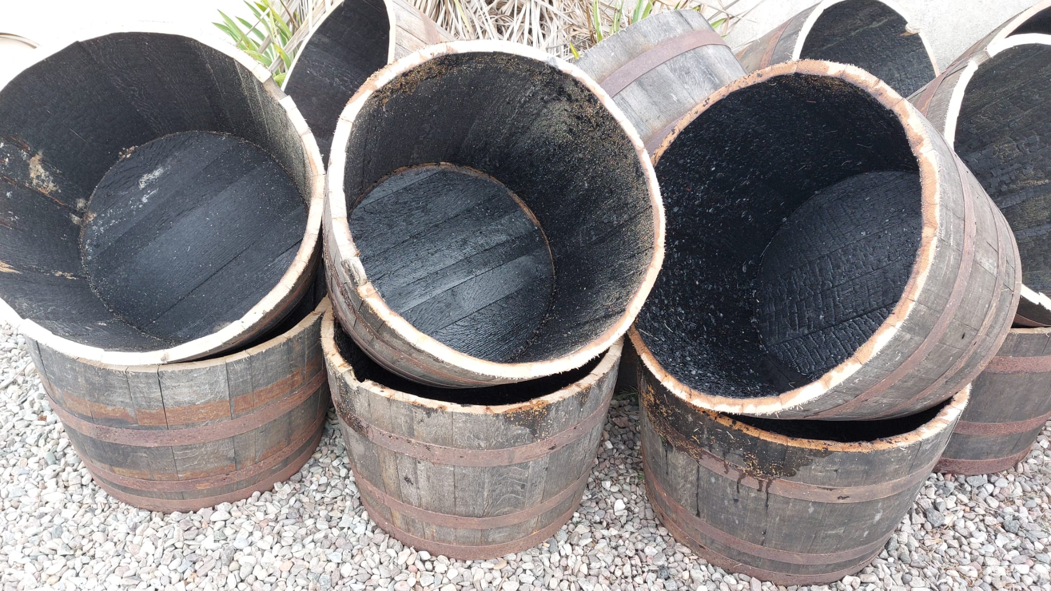 Planters / Half Barrels